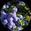 moq1621
